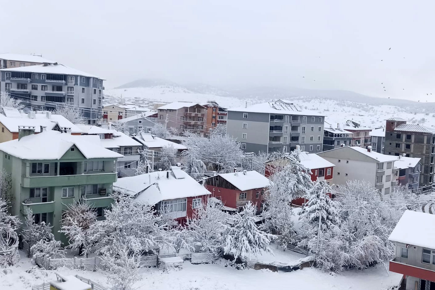 Gümüşhane’de kar yağışı 3