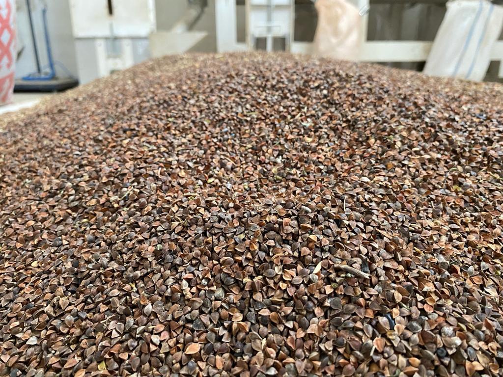 Kelkit’ten ilk ihracat gerçekleşti 4