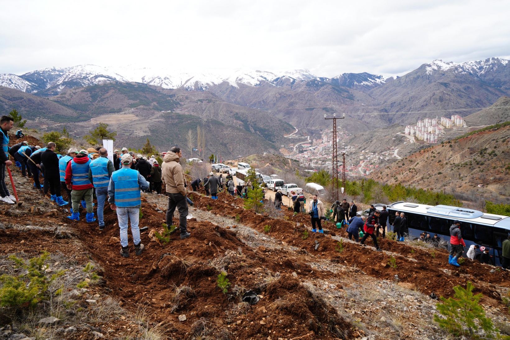Gümüşhane’de 3 bin fidan toprakla buluştu 7