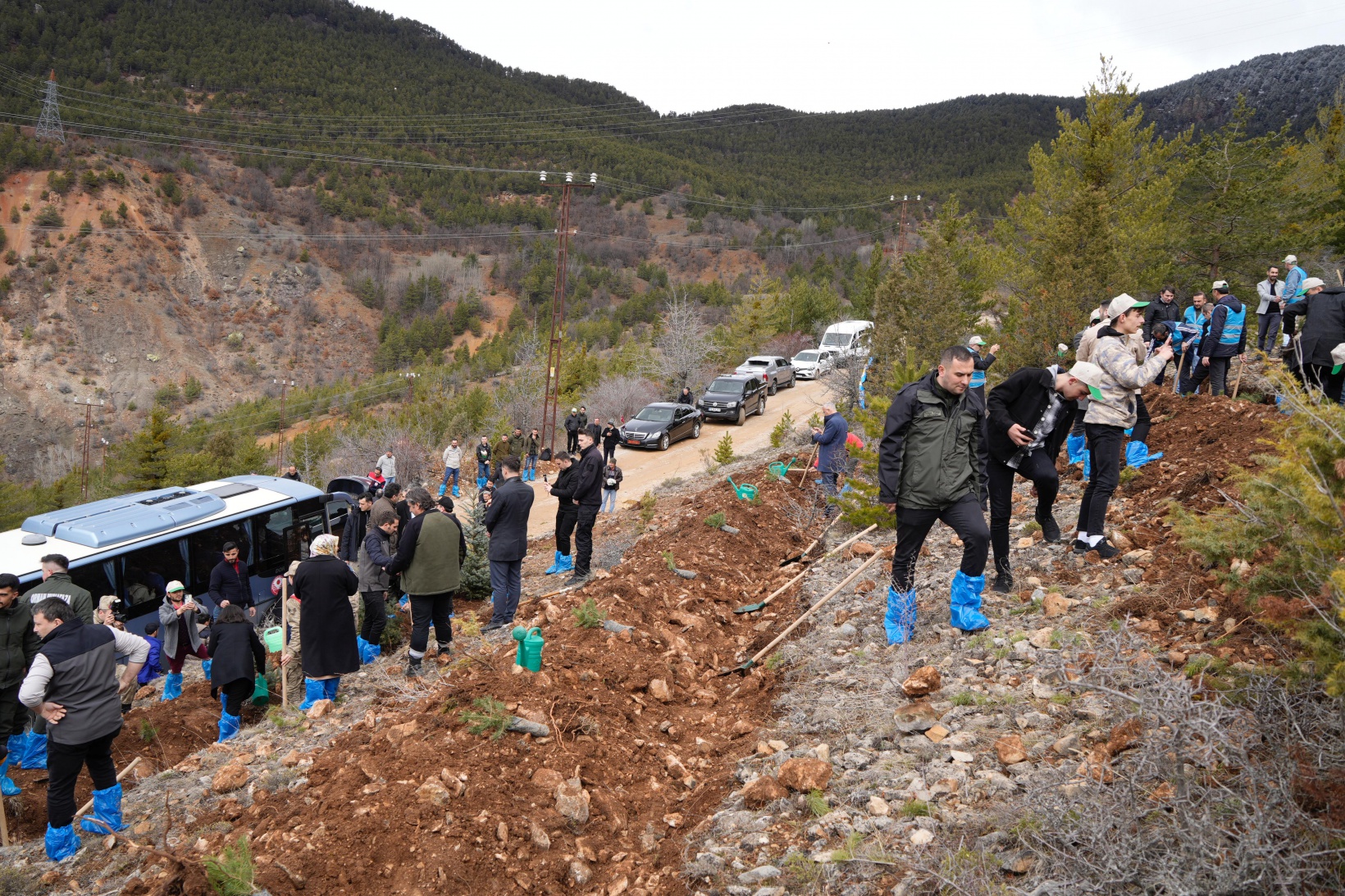 Gümüşhane’de 3 bin fidan toprakla buluştu 6