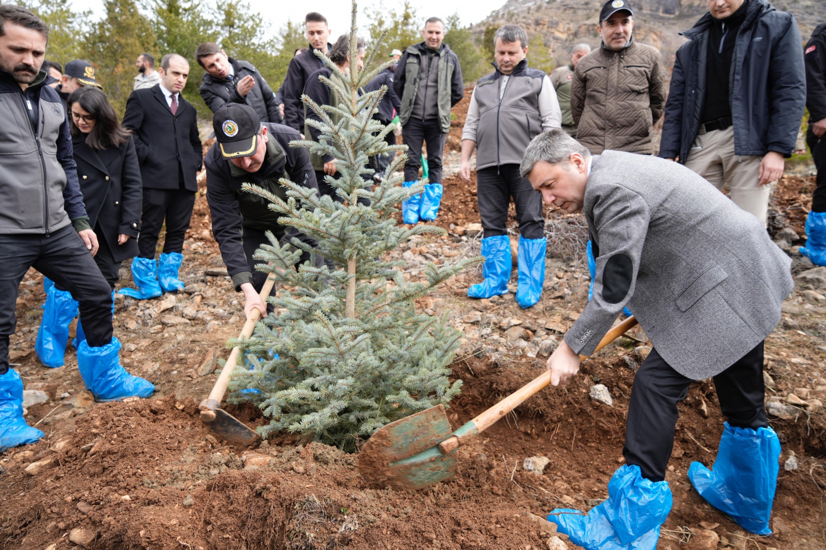 Gümüşhane’de 3 bin fidan toprakla buluştu 2