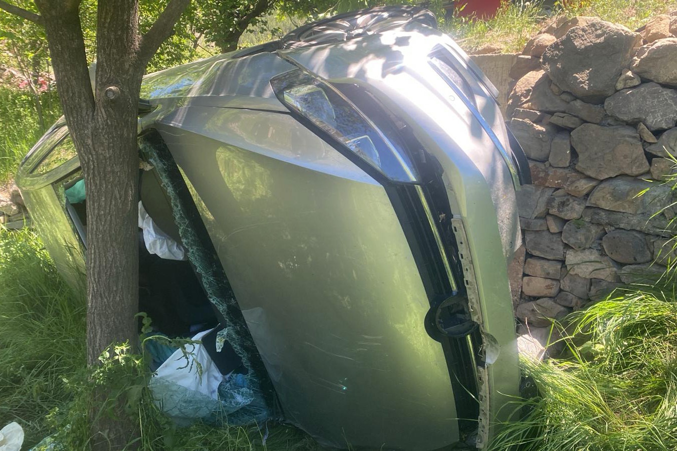 Gümüşhane’de yaşlı çift otomobille bahçeye yuvarlandı 1