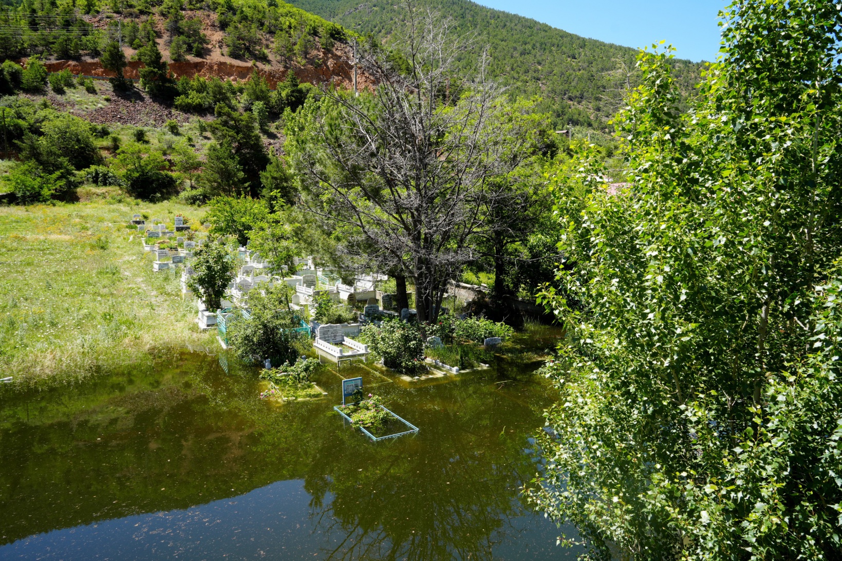 Torul’da baraj suları yükseldi mezarlıklar sular altında kaldı  4