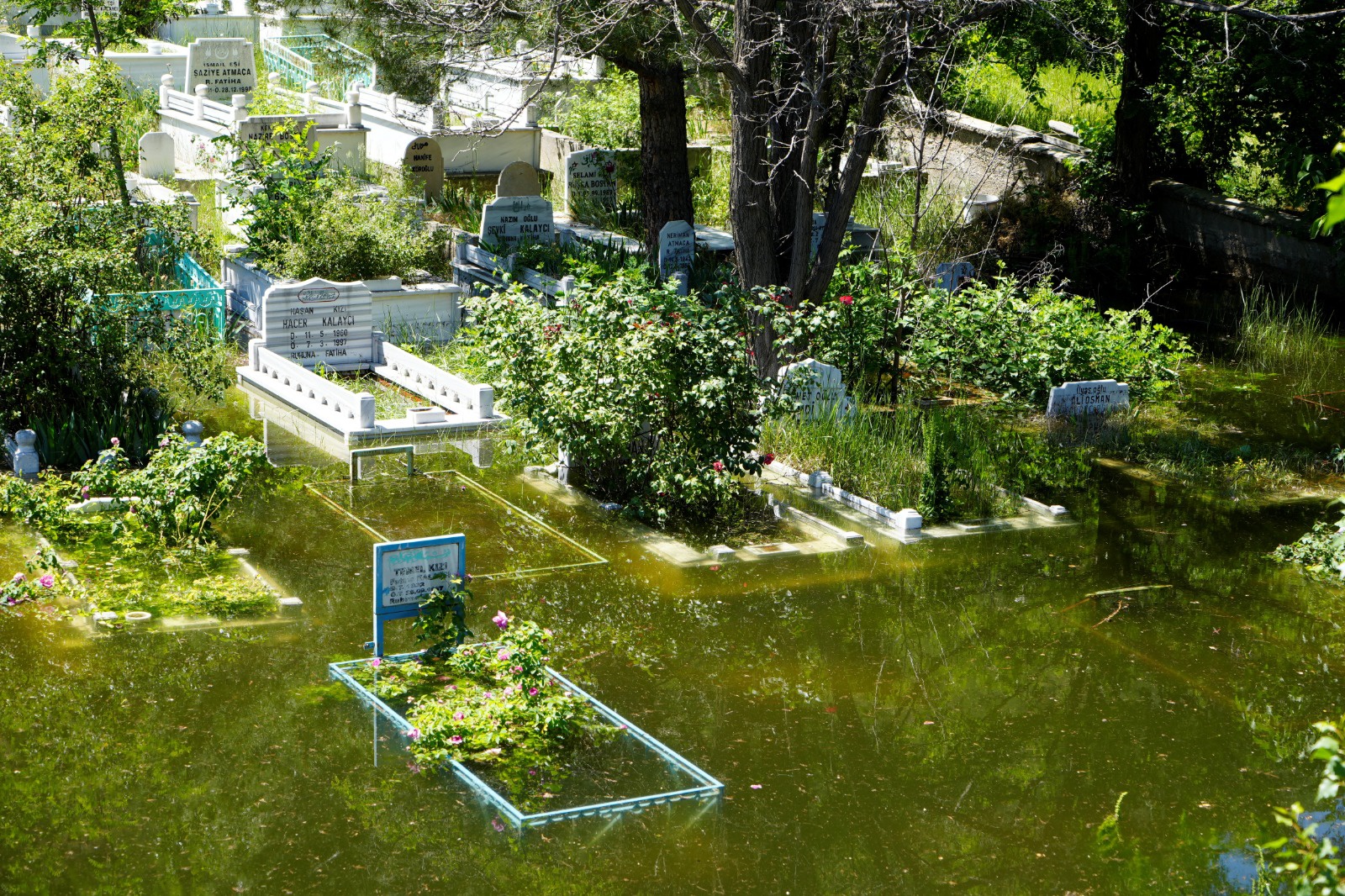 Torul’da baraj suları yükseldi mezarlıklar sular altında kaldı  5