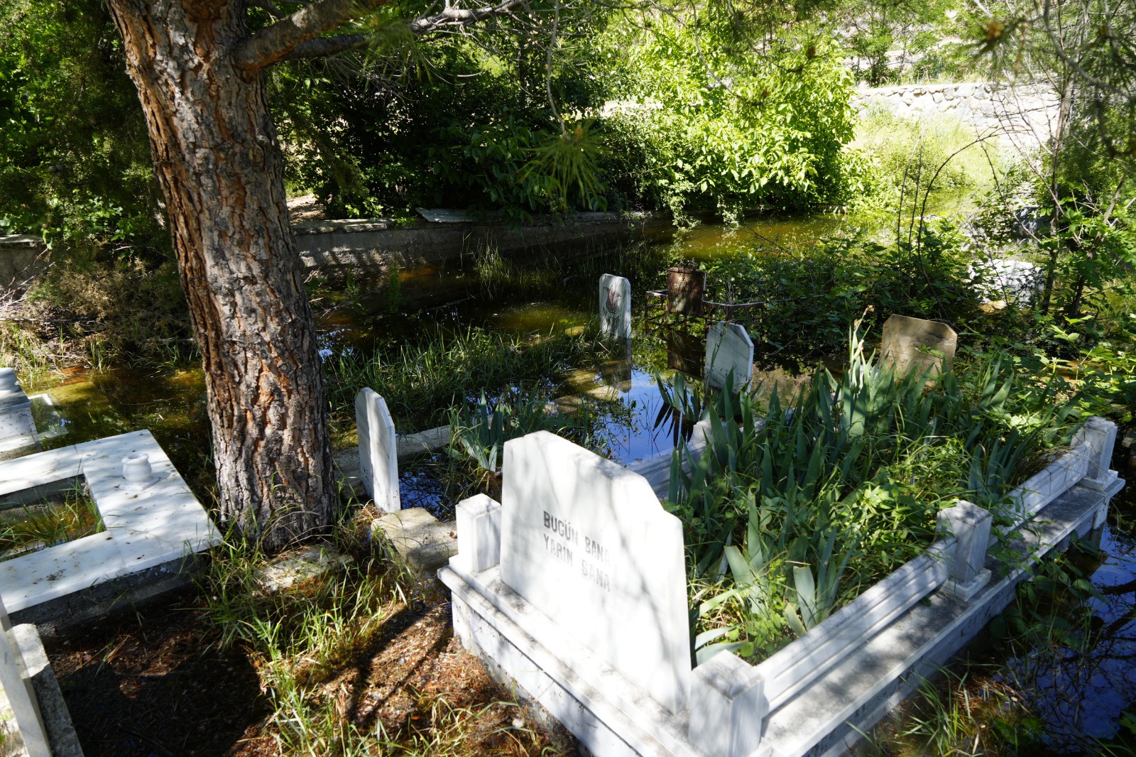 Torul’da baraj suları yükseldi mezarlıklar sular altında kaldı  6