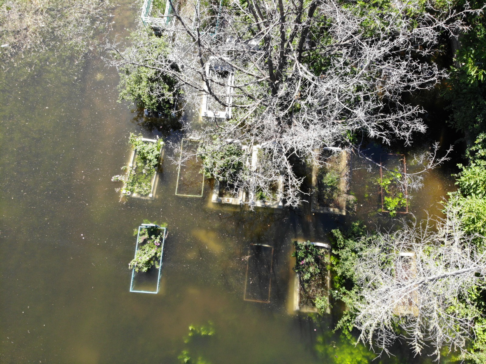 Torul’da baraj suları yükseldi mezarlıklar sular altında kaldı  9