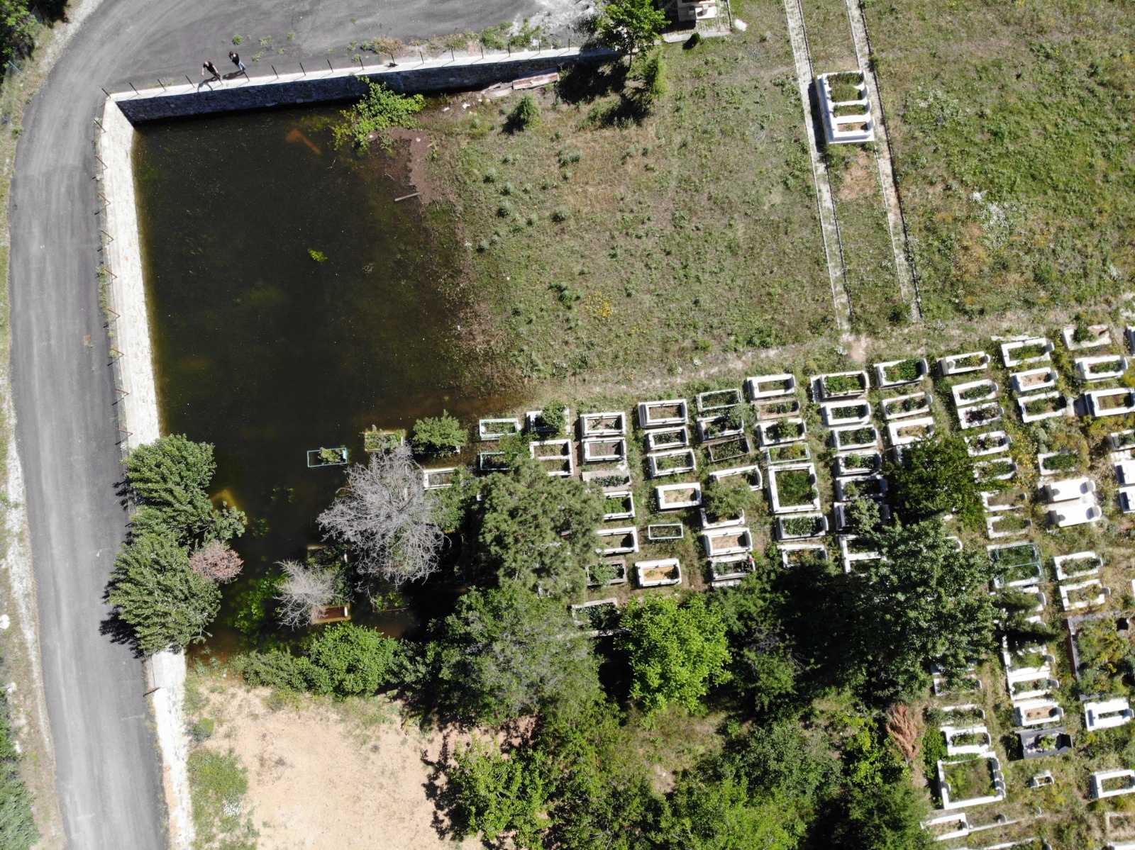 Torul’da baraj suları yükseldi mezarlıklar sular altında kaldı  7
