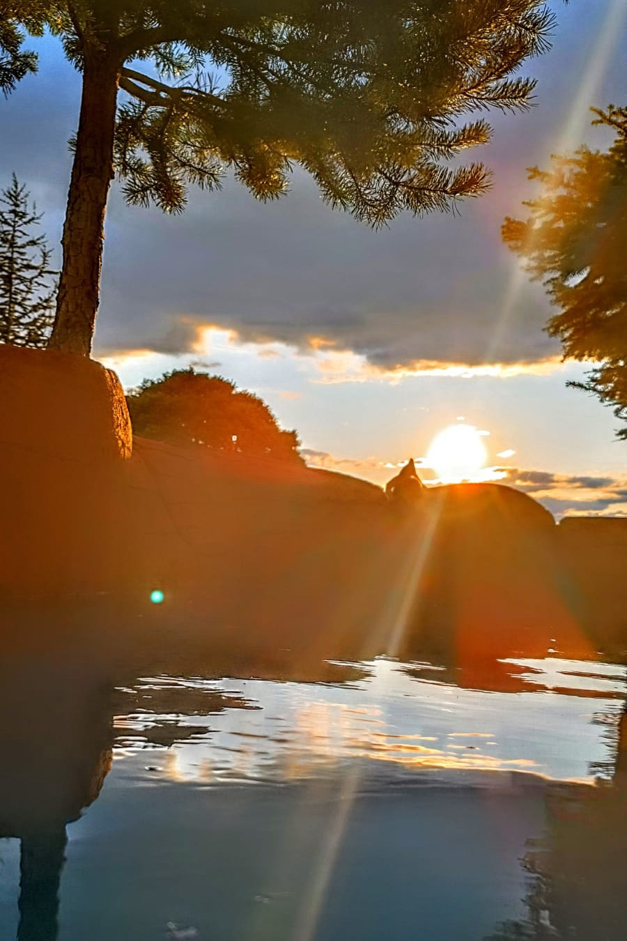 Doğa tutkunları Yeşilbük Yaylası'nda buluştu 9