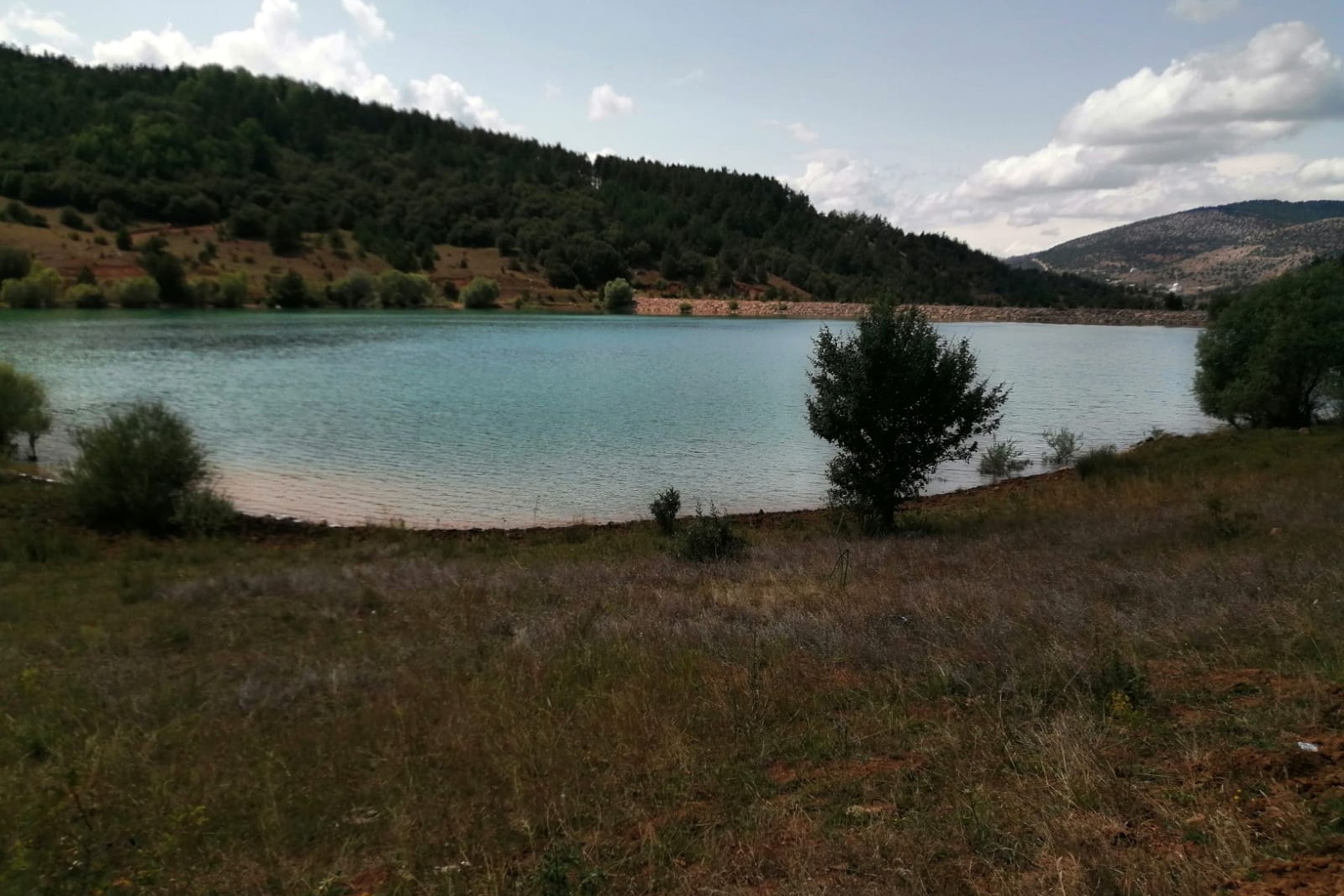 Doğa tutkunları Yeşilbük Yaylası'nda buluştu 8