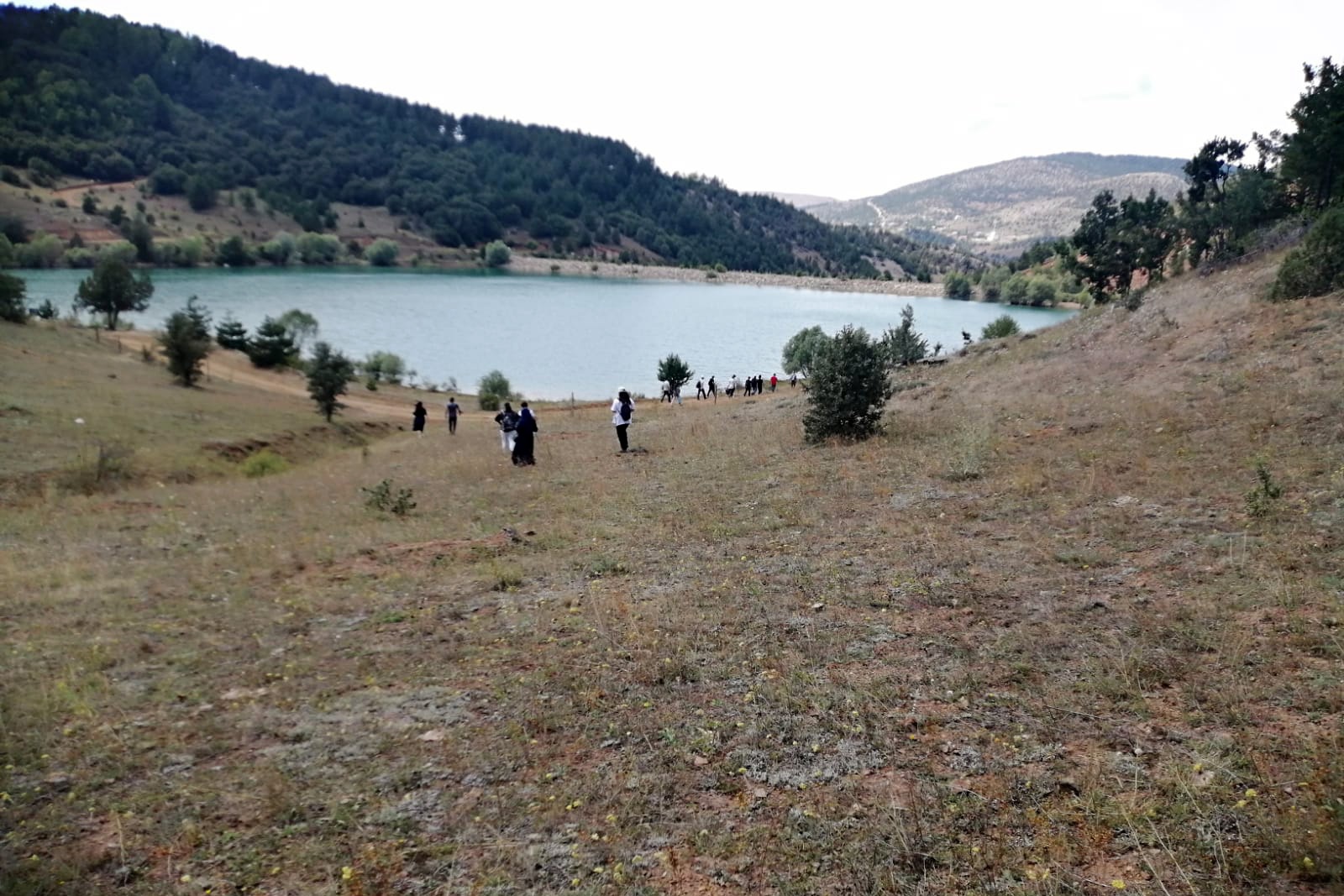 Doğa tutkunları Yeşilbük Yaylası'nda buluştu 11