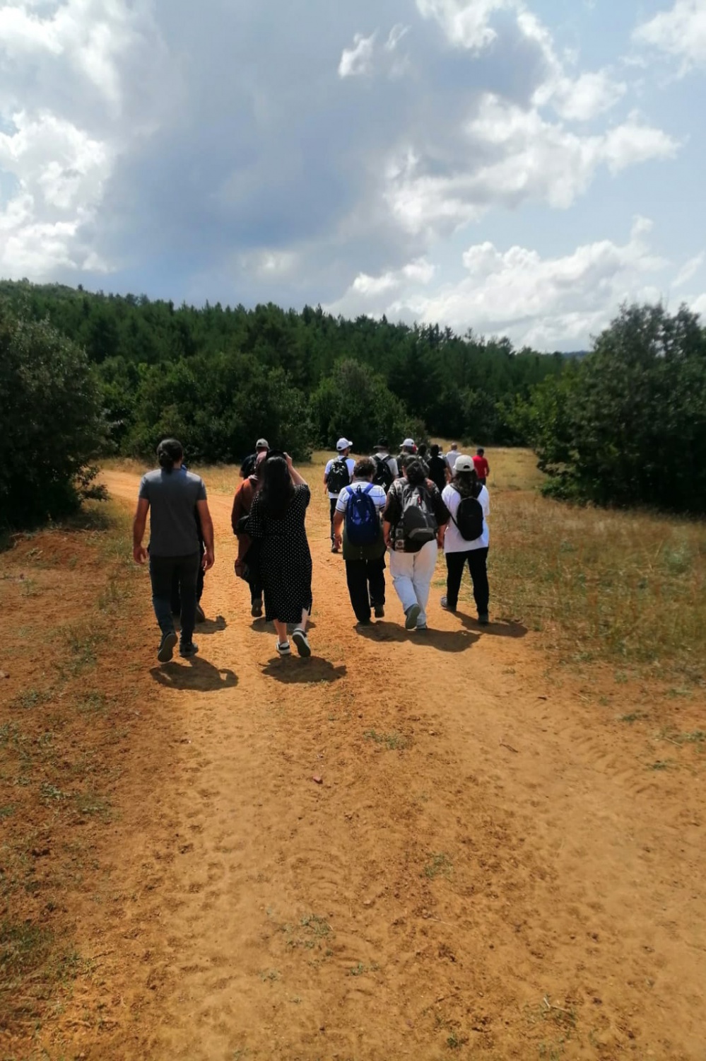 Doğa tutkunları Yeşilbük Yaylası'nda buluştu 6