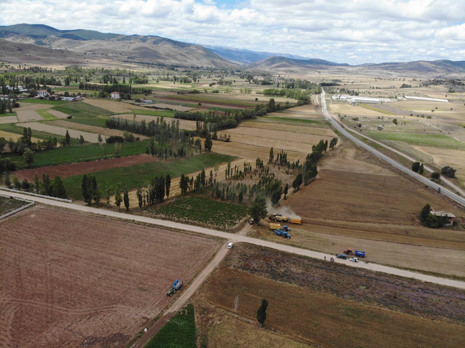 Kelkit’te buğday hasadı başladı, yağışlar rekolteyi olumsuz etkiledi 8