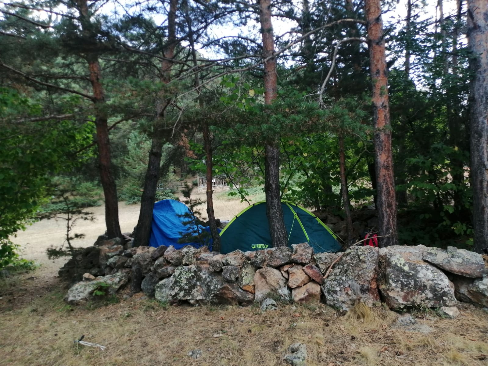 Kent Ormanı’nda izci ve doğa kampı yapıldı 3