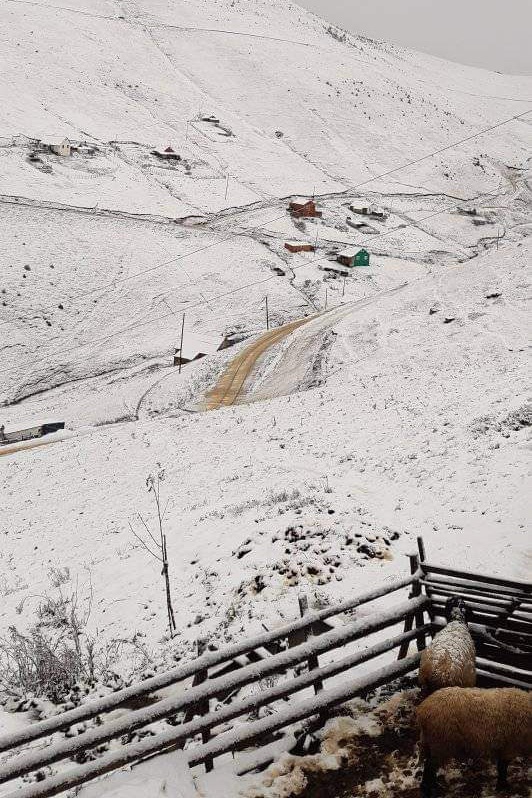 Gümüşhane yaylaları beyaz örtüyle kaplandı 3