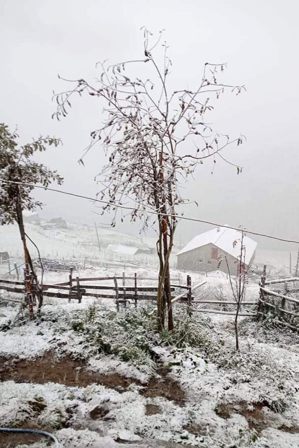Gümüşhane yaylaları beyaz örtüyle kaplandı 4