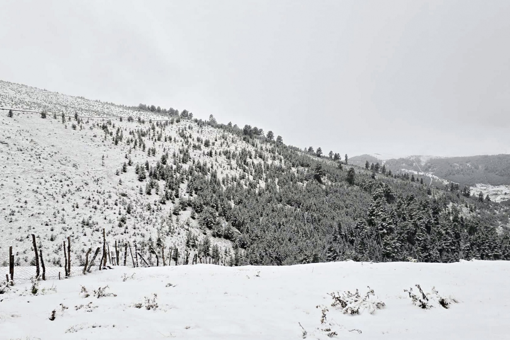 Gümüşhane yaylaları beyaz örtüyle kaplandı 9