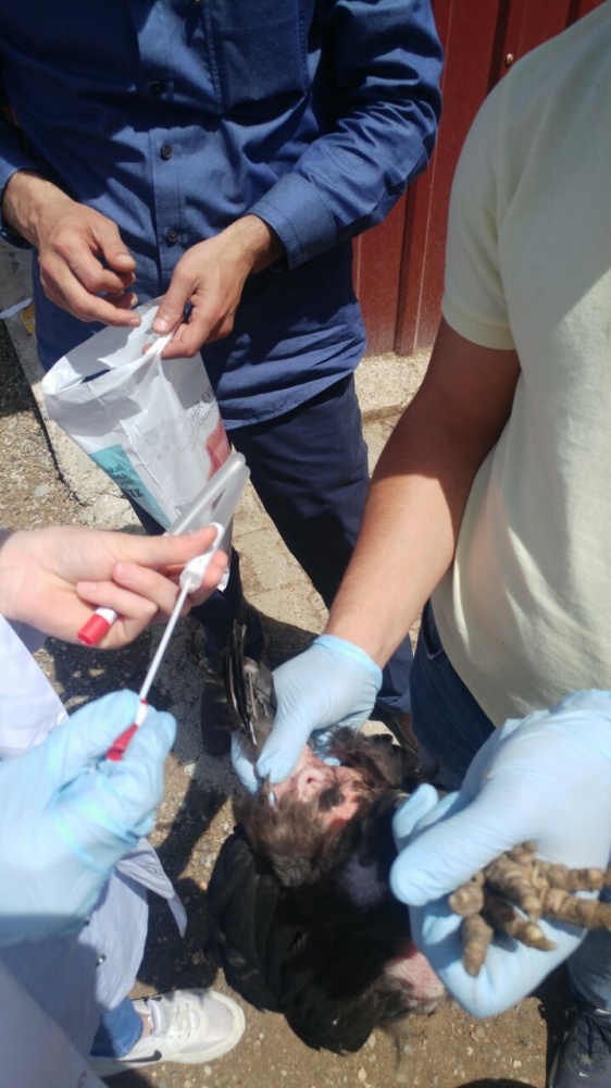 Uygulamayı sahada öğrendiler 1