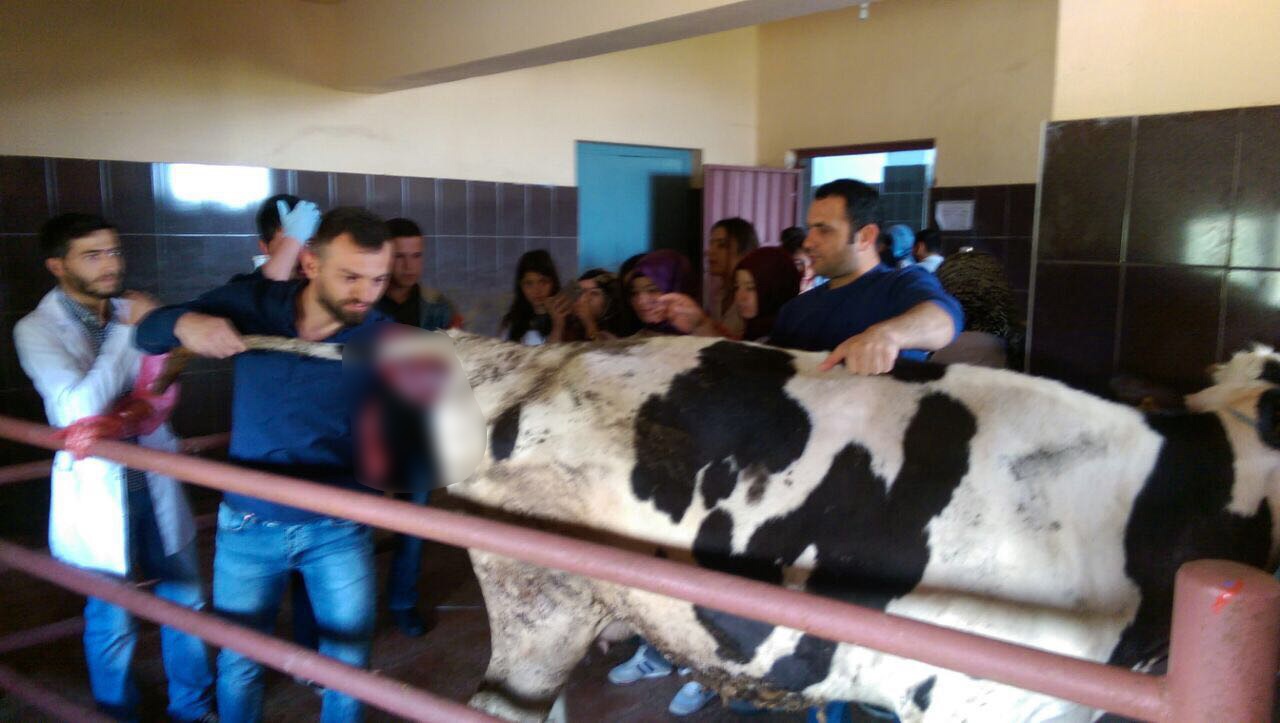 Uygulamayı sahada öğrendiler 6