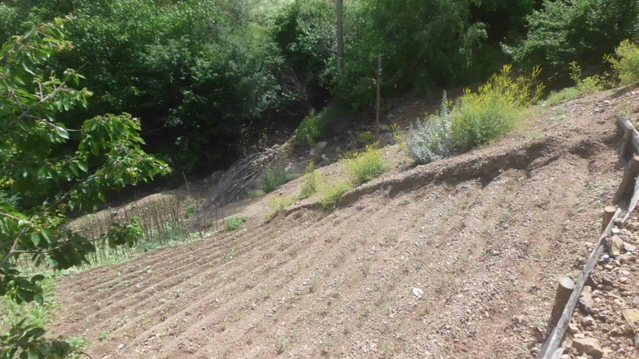 Torul’da dolu yağışı 5