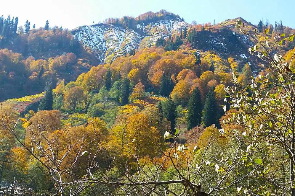 Gümüşhaneli dağcılar Karagöl’de kamp kurdu 24