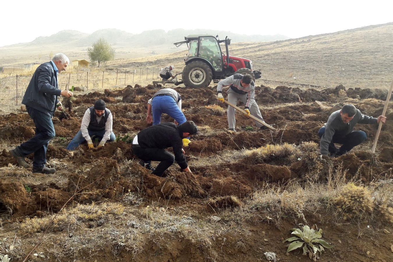 Ağaçsız köyün ağaç sevdası  4