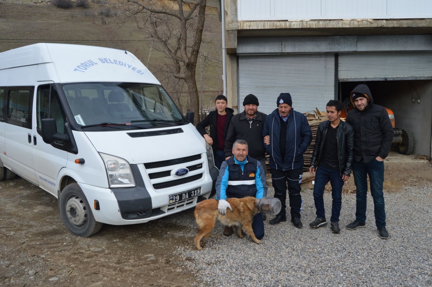 Torul Belediyesinden kafasına bidon sıkışan köpek için operasyon 2