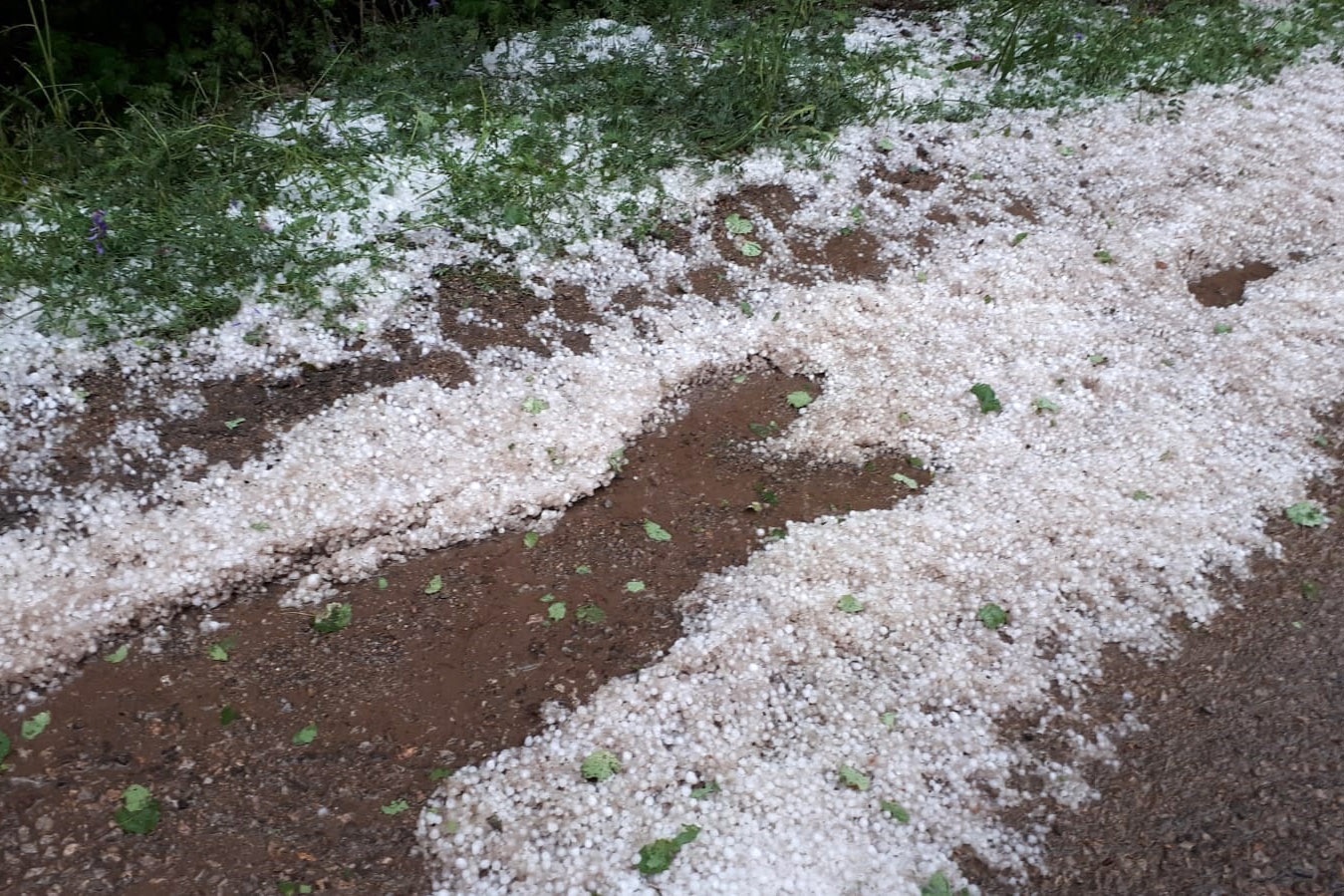 Gümüşhane’yi yağmur ve dolu vurdu 5
