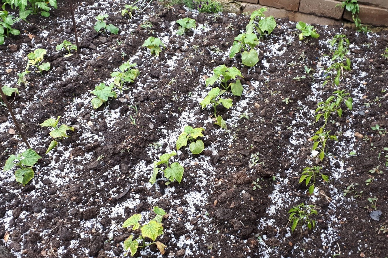 Gümüşhane’yi yağmur ve dolu vurdu 4