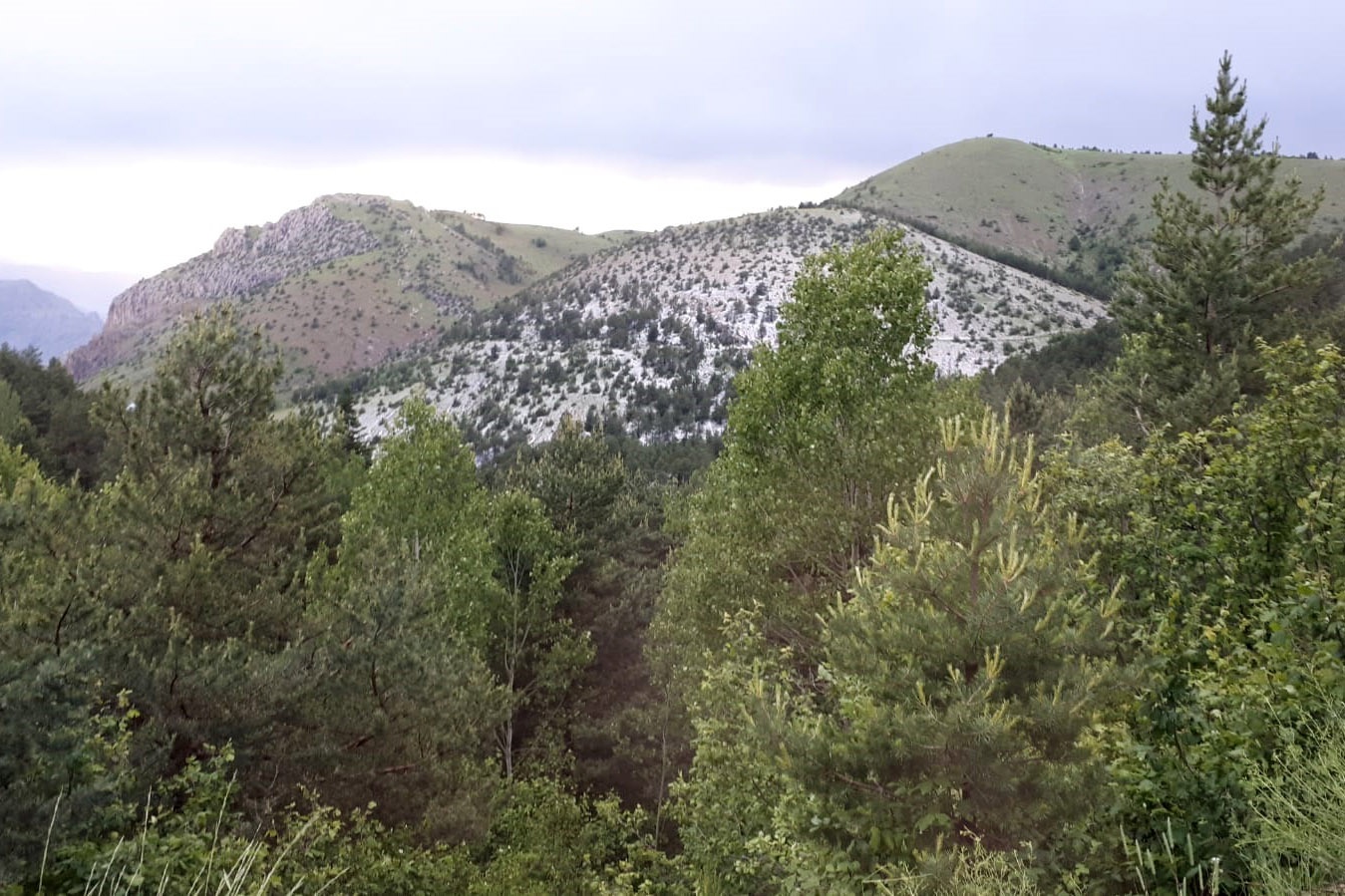 Gümüşhane’yi yağmur ve dolu vurdu 6
