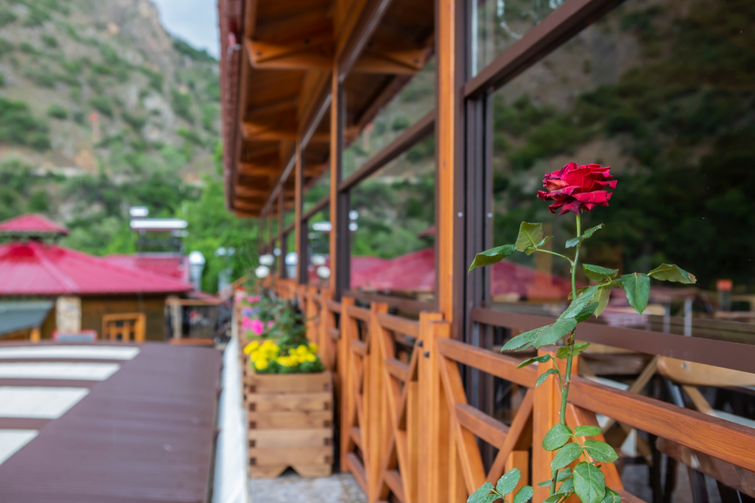 Tomara, Sultan Sofrasına kavuştu 9