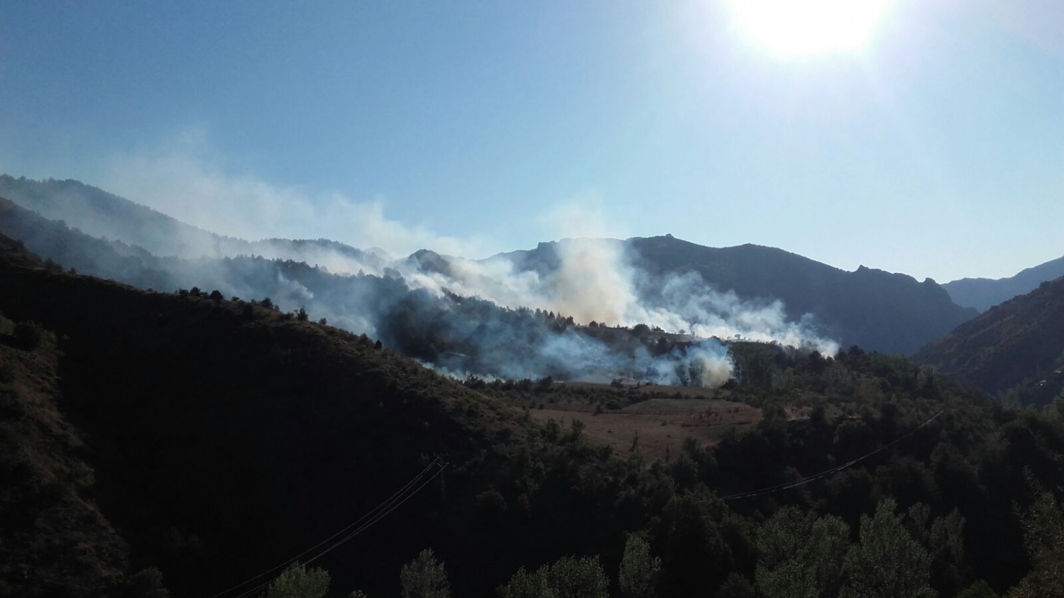 Gümüşhane'de örtü yangını 1