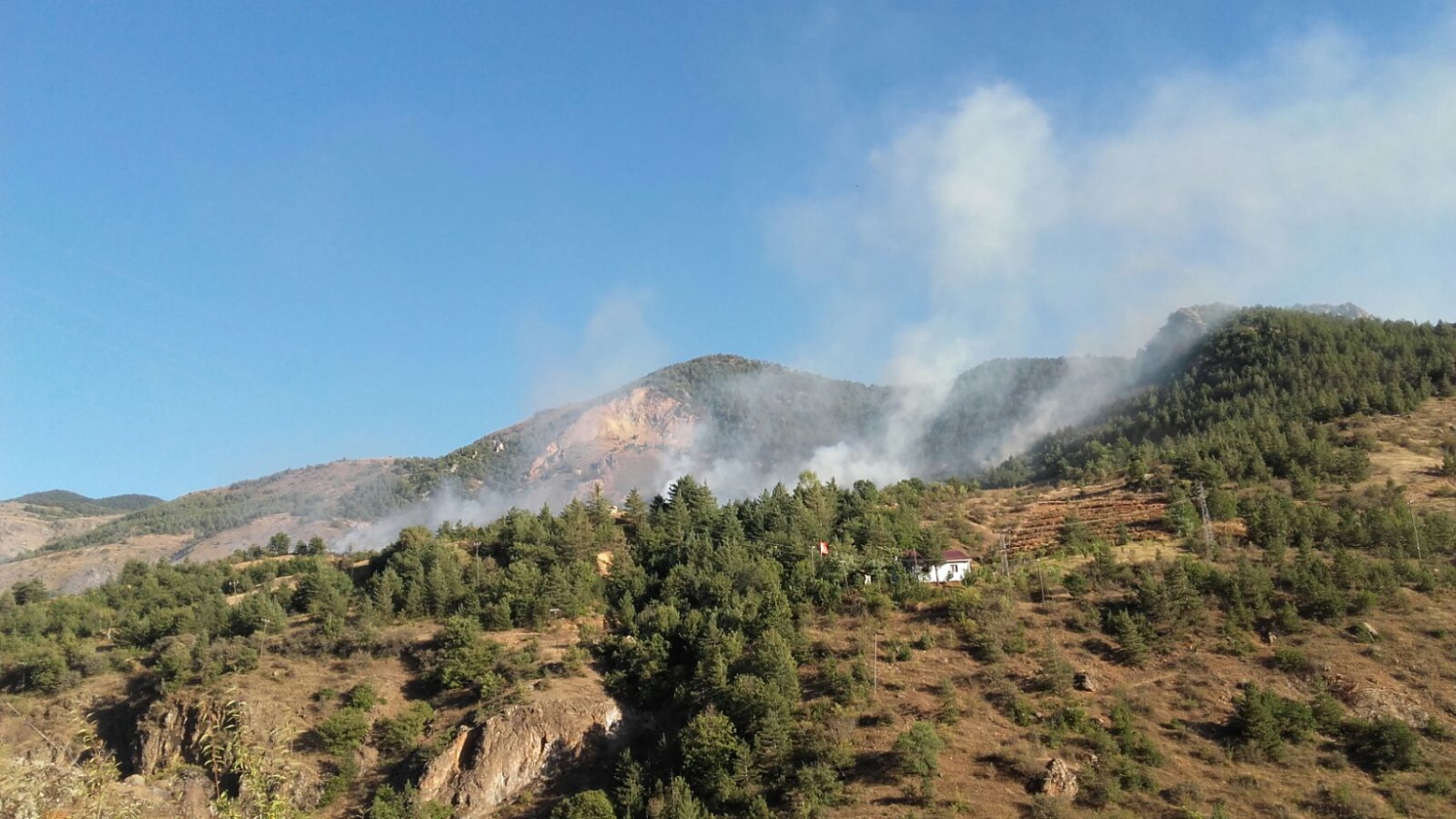 Gümüşhane'de örtü yangını 3