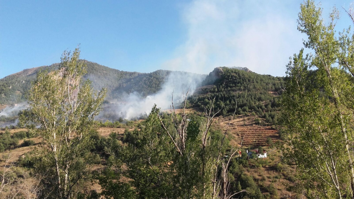 Gümüşhane'de örtü yangını 4