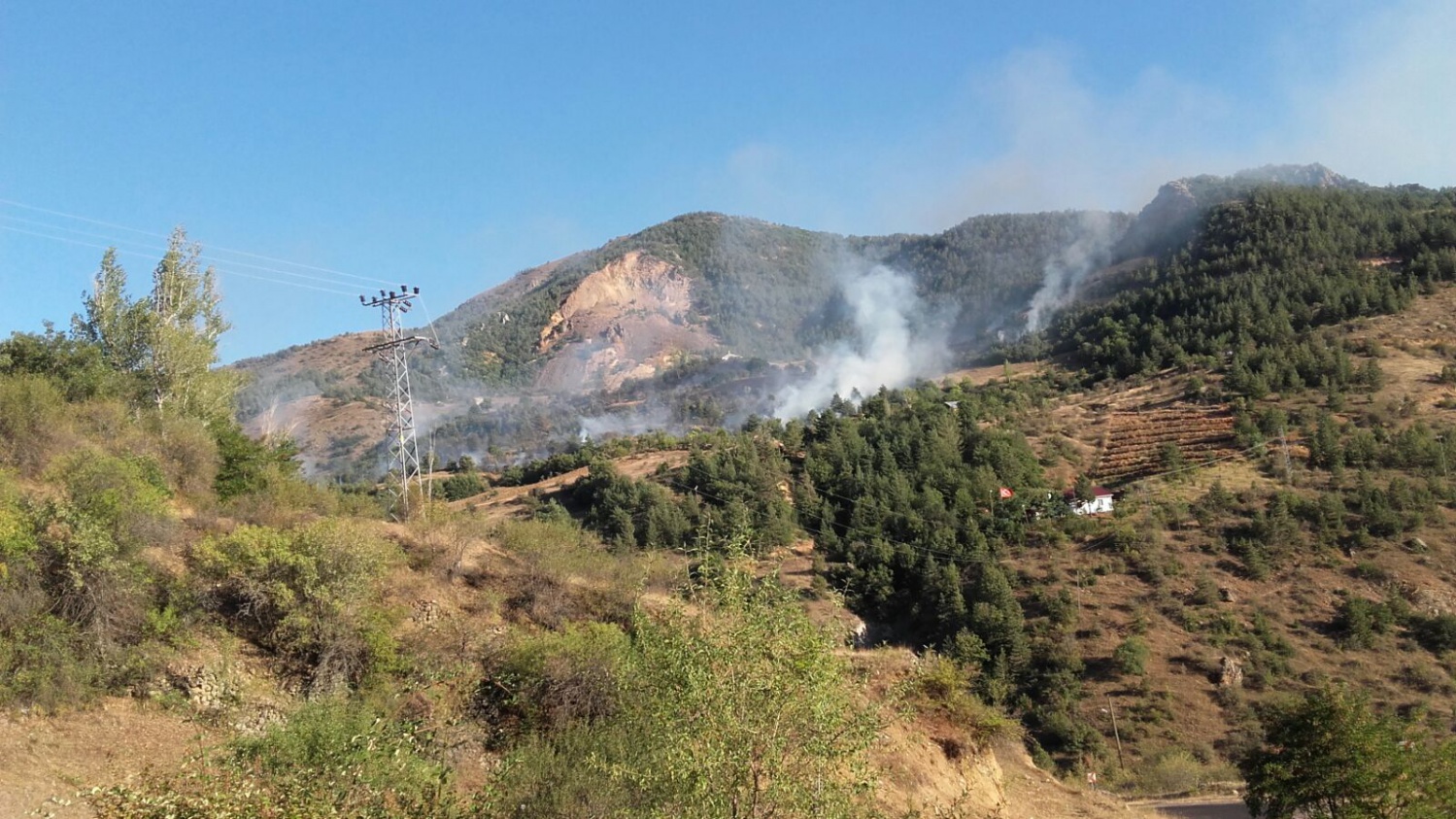 Gümüşhane'de örtü yangını 5
