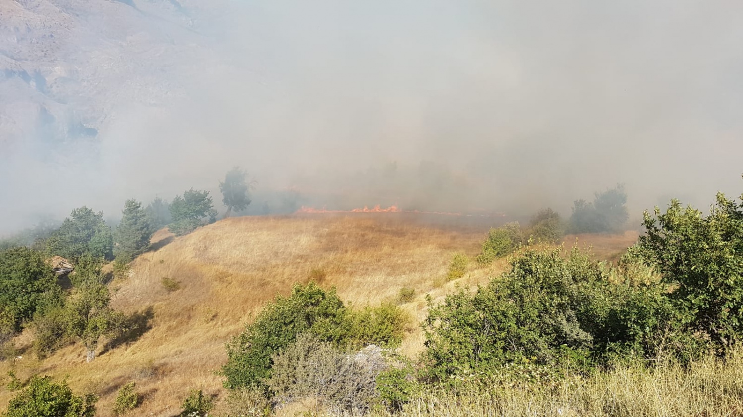 Gümüşhane'deki örtü yangını kontrol altına alındı 5