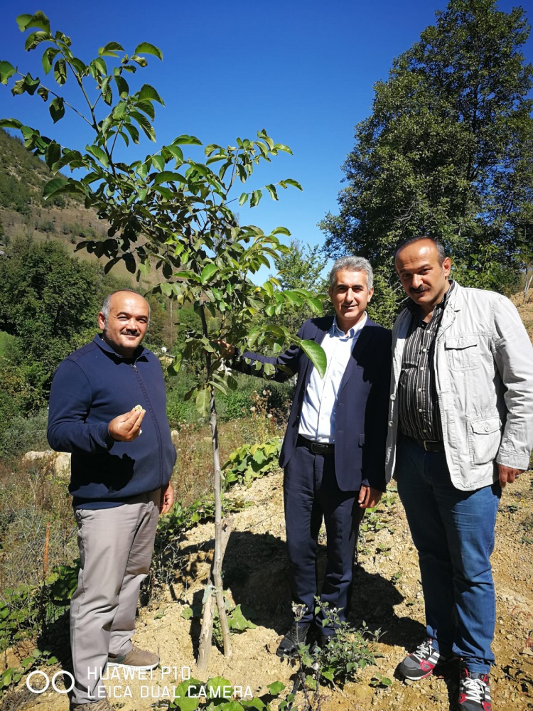Gümüşhane Ceviz Vadisi olma yolunda hızla ilerliyor   9