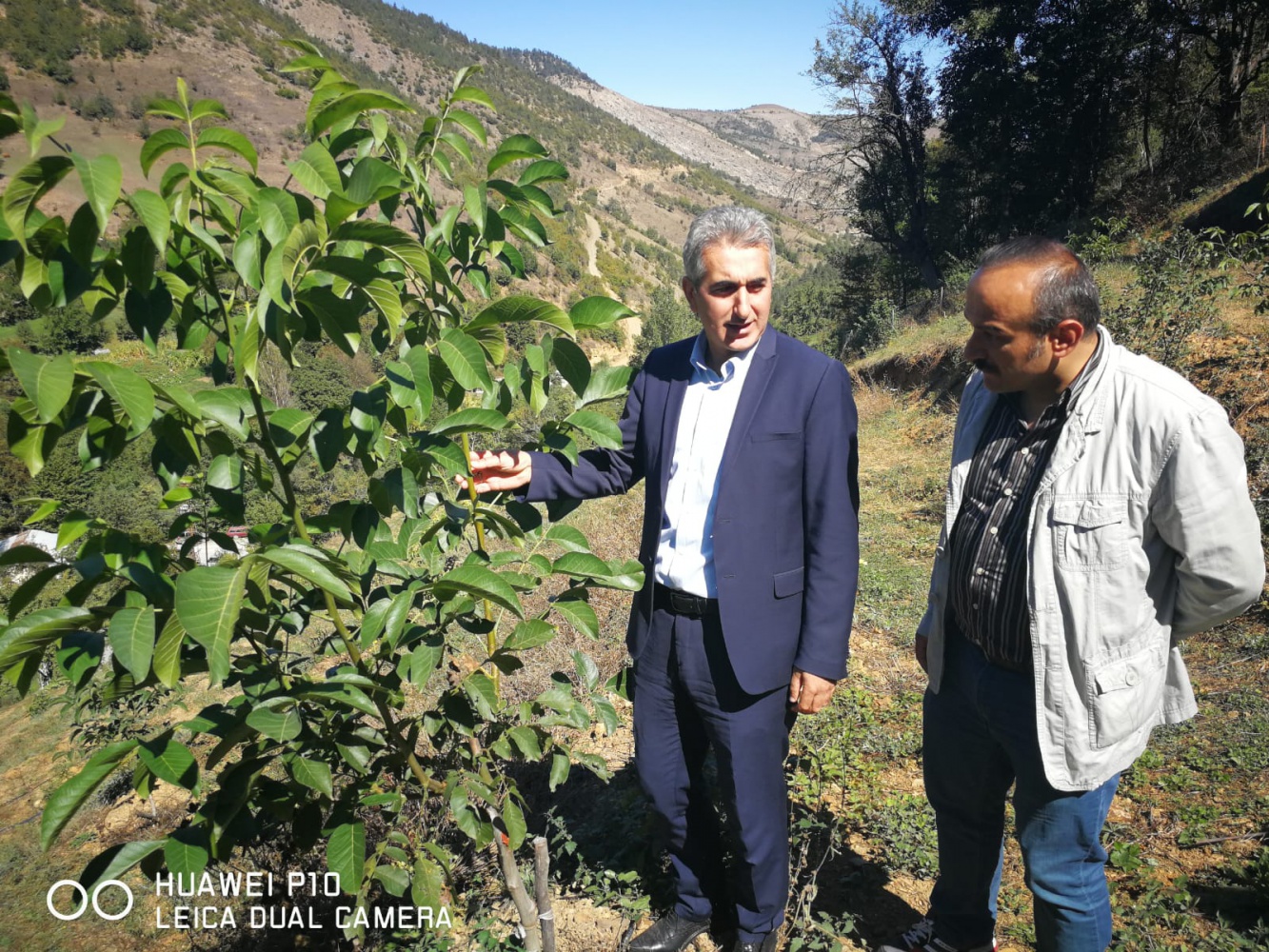 Gümüşhane Ceviz Vadisi olma yolunda hızla ilerliyor   4