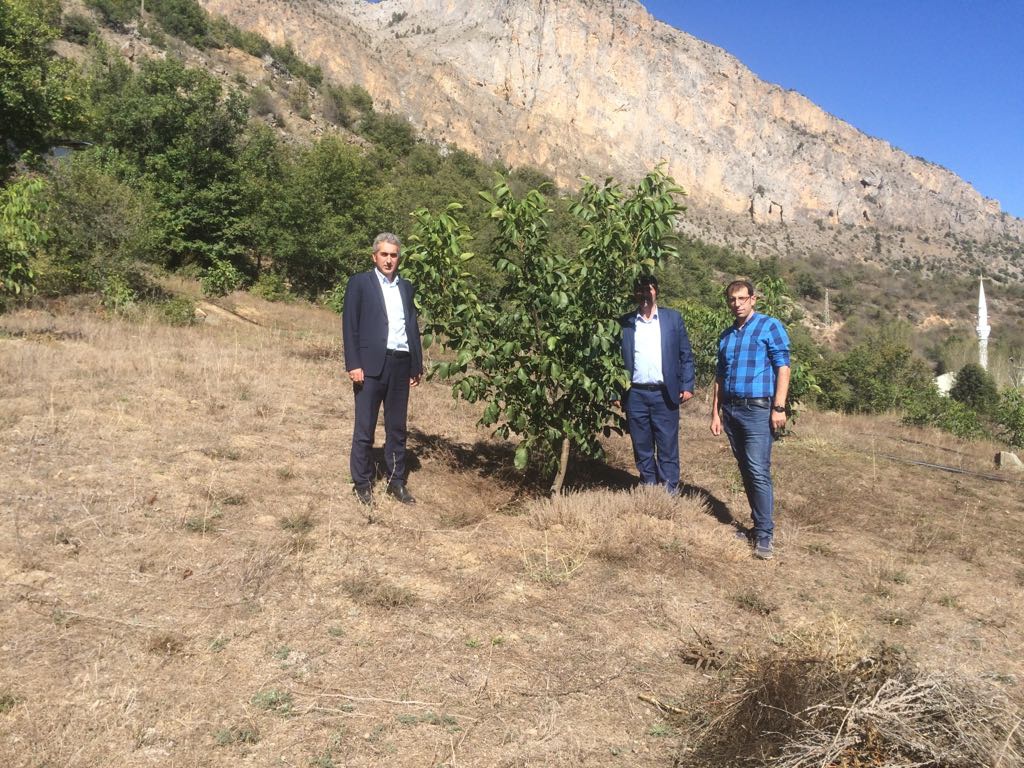 Gümüşhane Ceviz Vadisi olma yolunda hızla ilerliyor   11