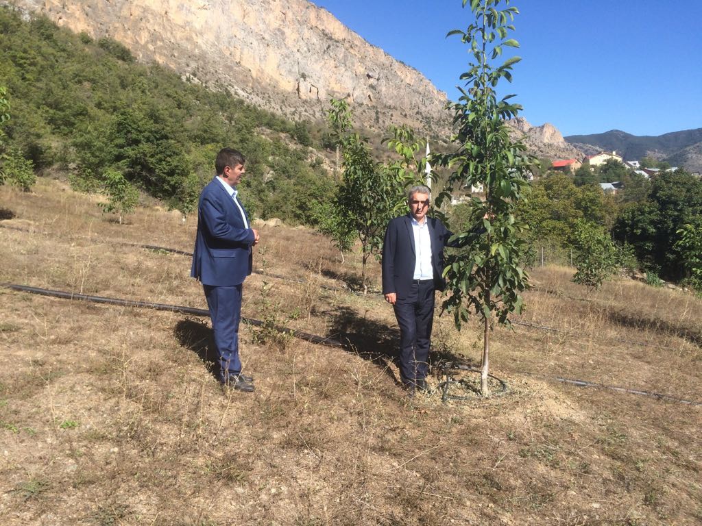 Gümüşhane Ceviz Vadisi olma yolunda hızla ilerliyor   17
