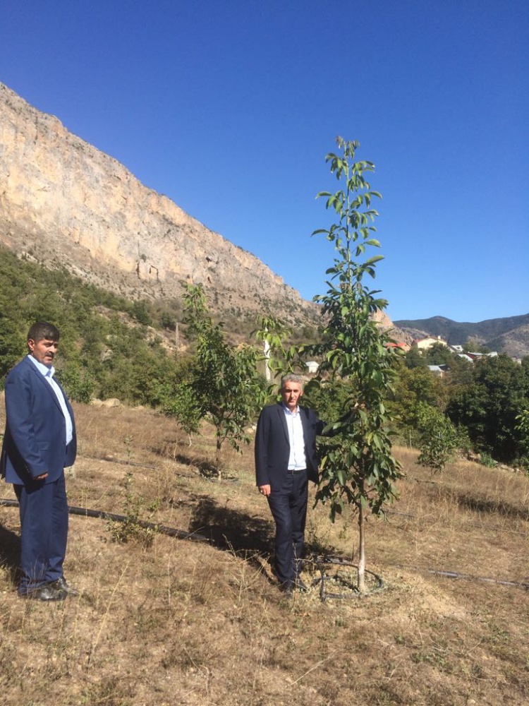 Gümüşhane Ceviz Vadisi olma yolunda hızla ilerliyor   16