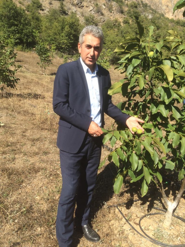 Gümüşhane Ceviz Vadisi olma yolunda hızla ilerliyor   18