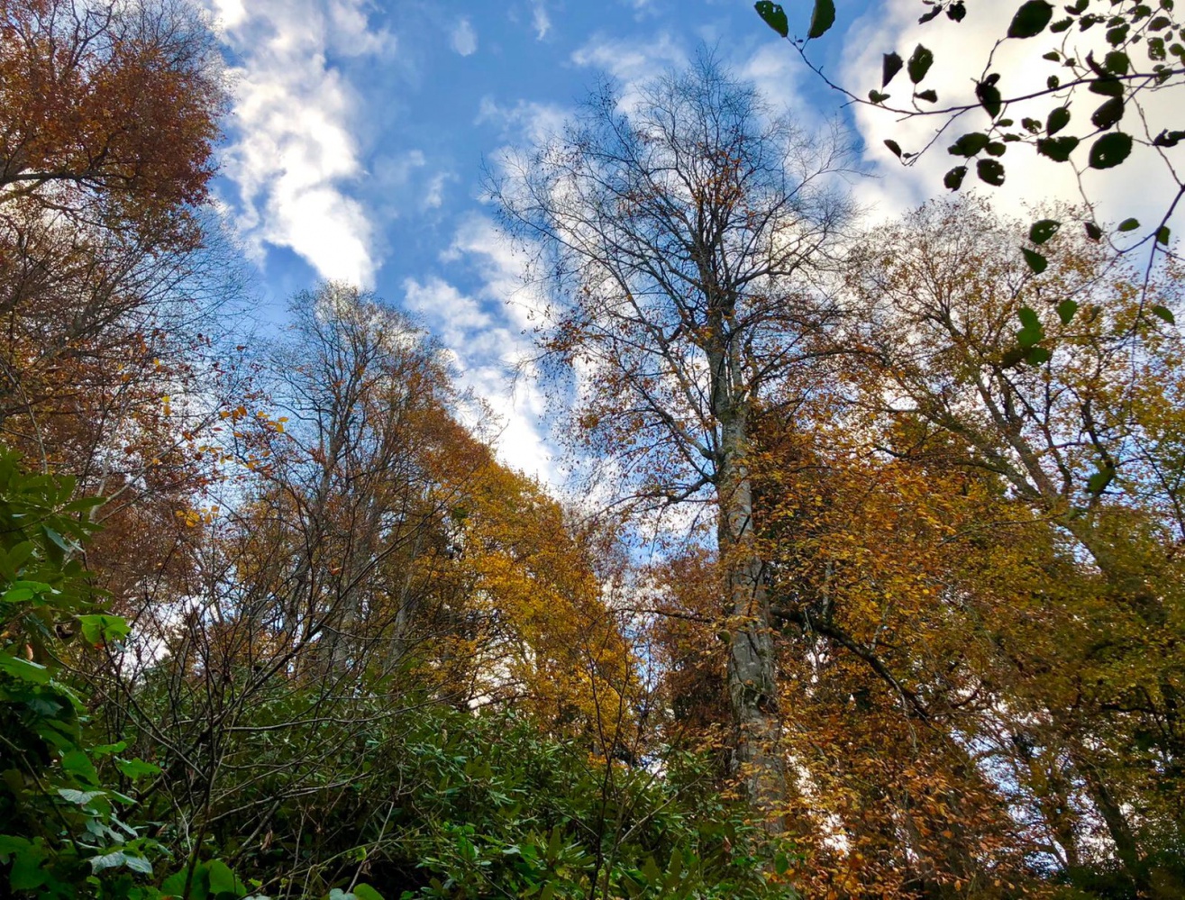 Gümüşhaneli dağcılar Karagöl’de kamp kurdu 15