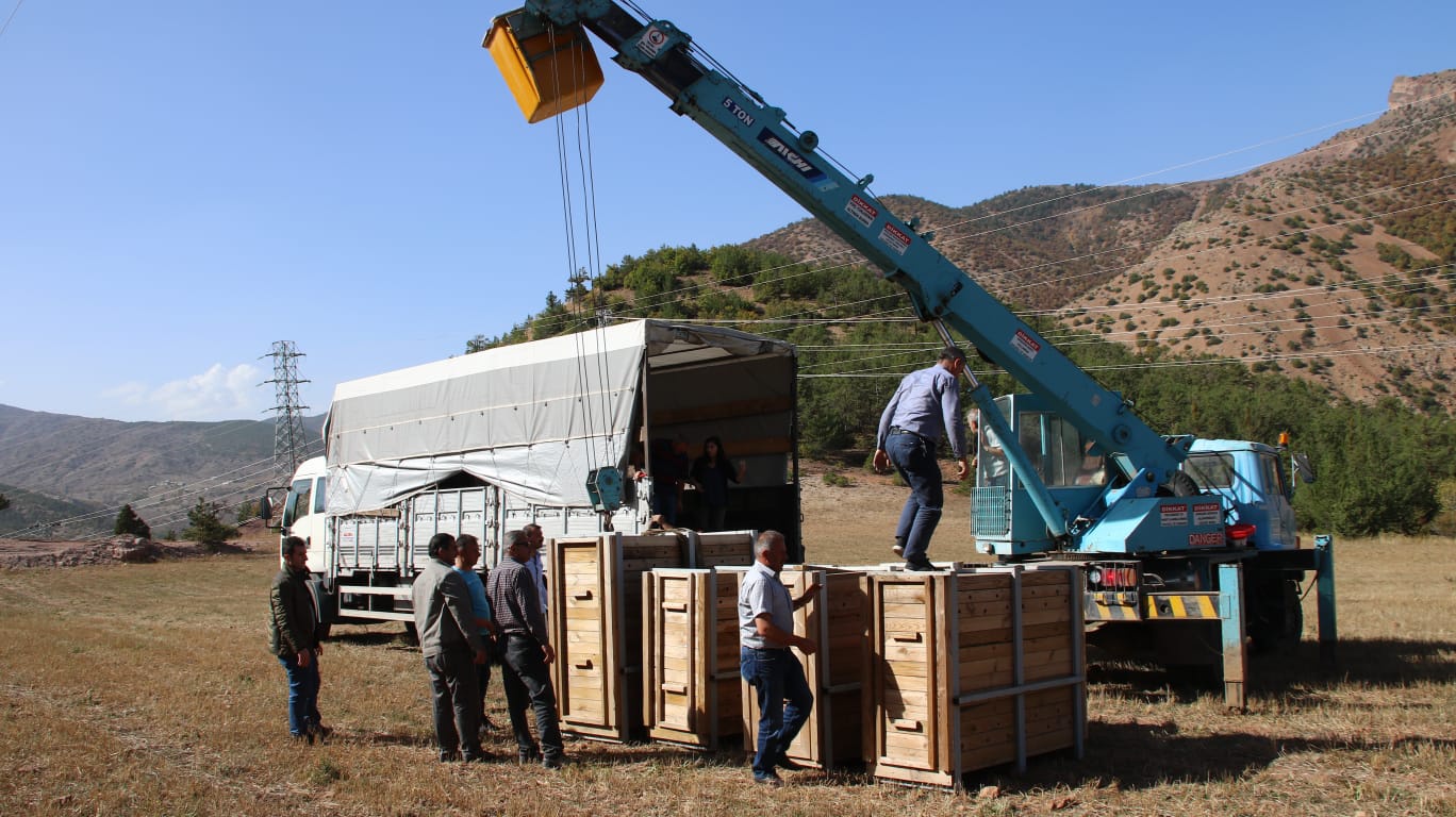 Gümüşhane’de 4 Kızıl Geyik daha doğaya salındı 5