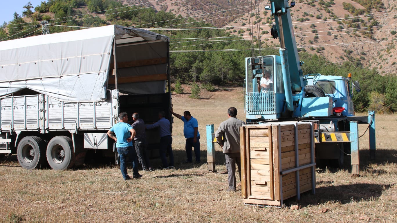 Gümüşhane’de 4 Kızıl Geyik daha doğaya salındı 8