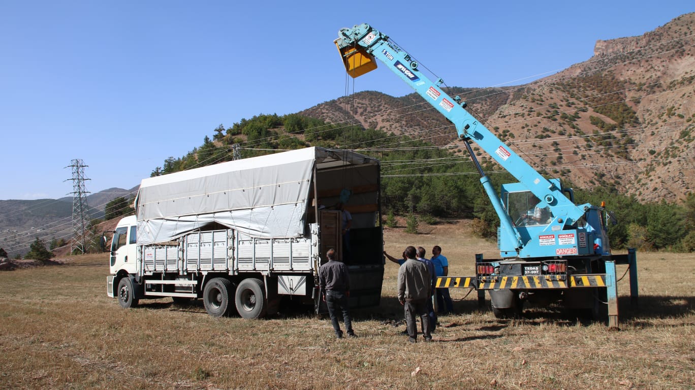 Gümüşhane’de 4 Kızıl Geyik daha doğaya salındı 7