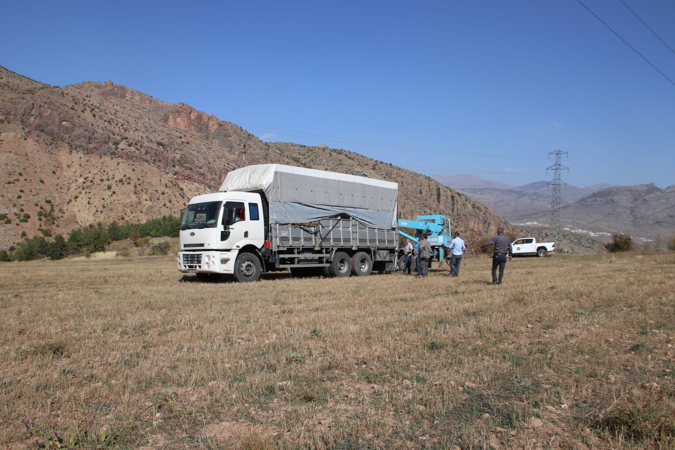 Gümüşhane’de 4 Kızıl Geyik daha doğaya salındı 2