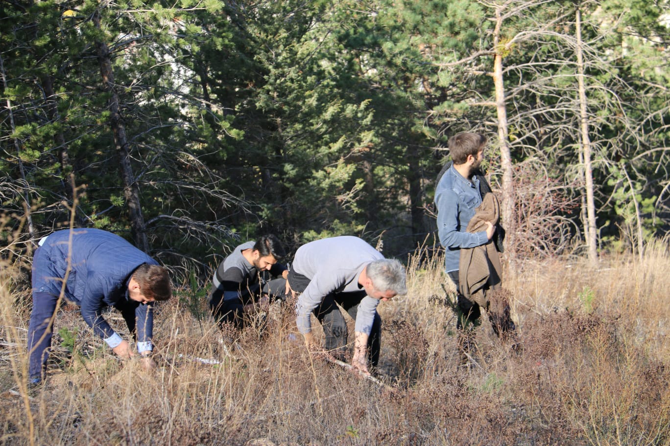 Gümüşhane KYK Ormanı büyümeye devam ediyor 2