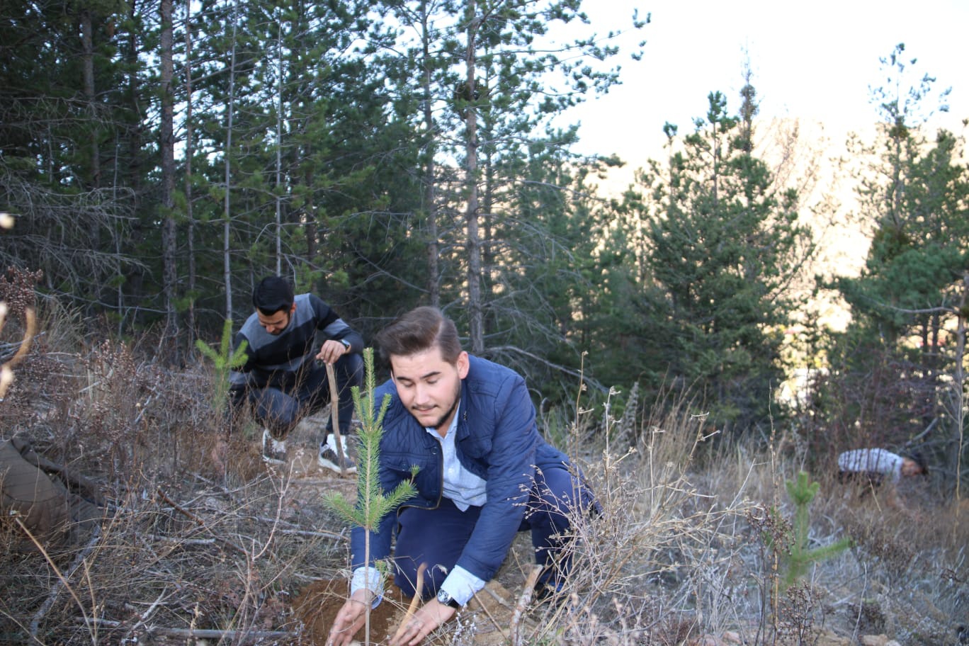 Gümüşhane KYK Ormanı büyümeye devam ediyor 9