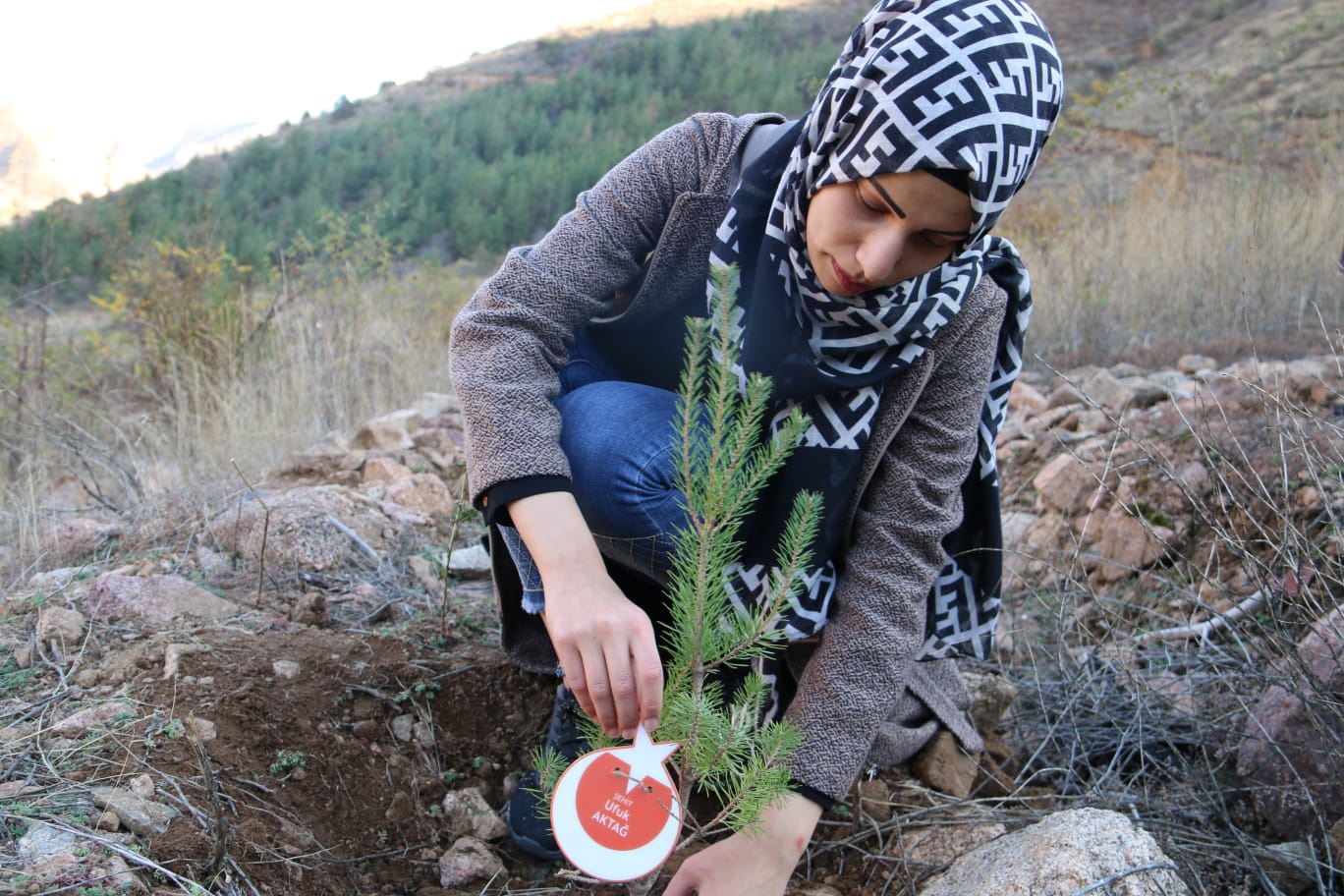 Gümüşhane KYK Ormanı büyümeye devam ediyor 11