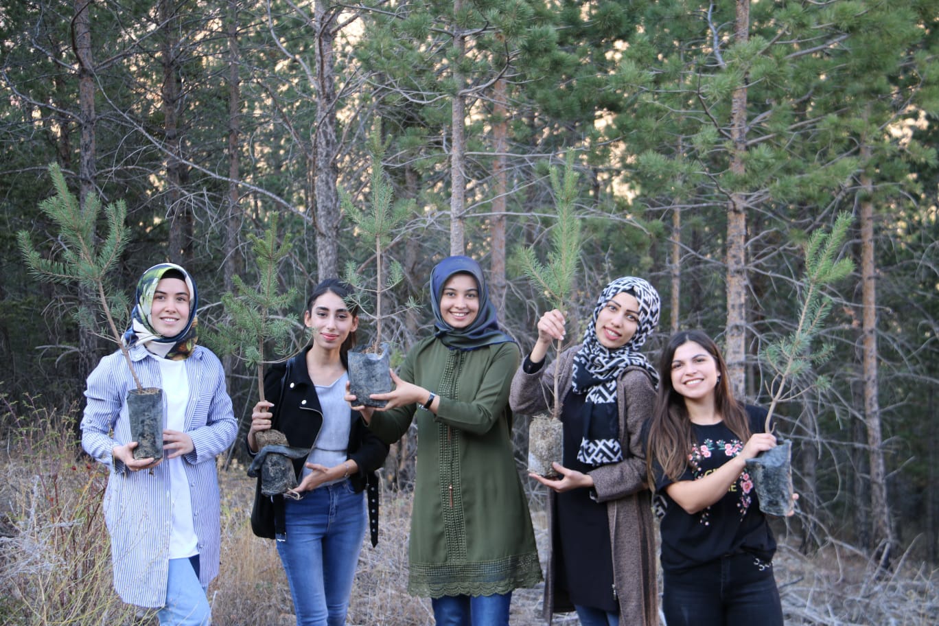 Gümüşhane KYK Ormanı büyümeye devam ediyor 12